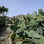 Charming In Platis Gialos With Private Pool Paradise Beach (Mykonos)