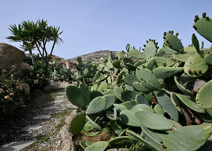 Charming In Platis Gialos With Private Pool Paradise Beach (Mykonos)