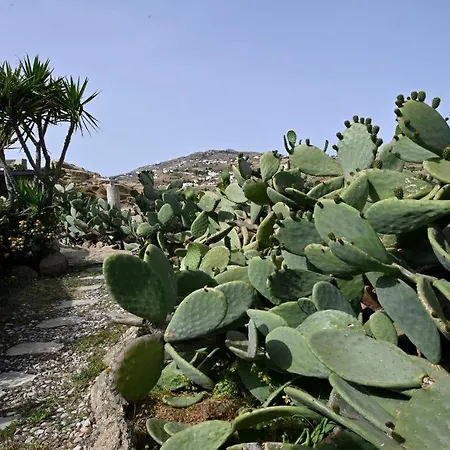 Charming In Platis Gialos With Private Pool 天堂海滩